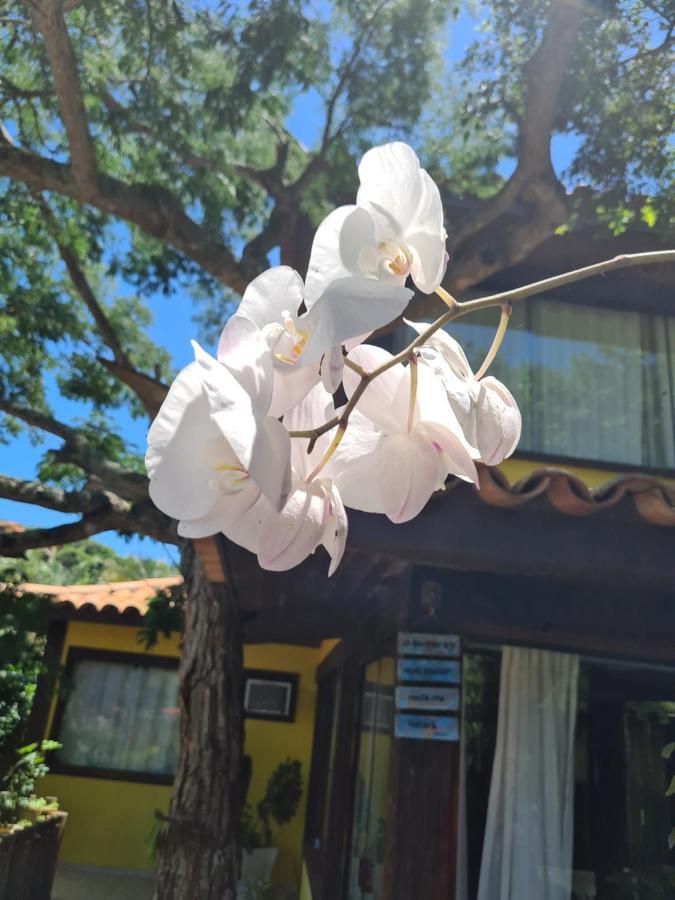 Casa Ferradura Com Hidro,Piscina E 500 Metros Da Praia Búzios エクステリア 写真